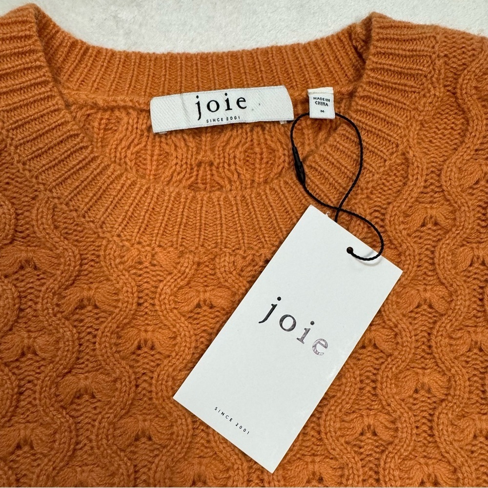 NWT New $298 Joie Roland Crew Neck Orange Wool Cashmere Sweater Size M - Picture 8 of 11